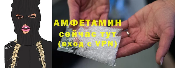 амф Вяземский