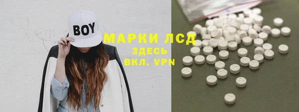 амф Вяземский