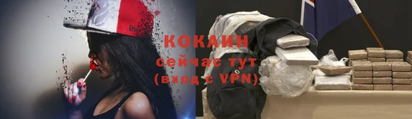ПСИЛОЦИБИНОВЫЕ ГРИБЫ Вязьма