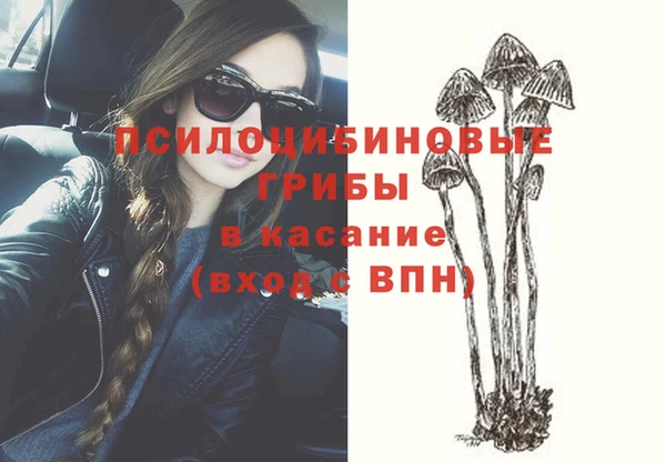 ПСИЛОЦИБИНОВЫЕ ГРИБЫ Вязьма