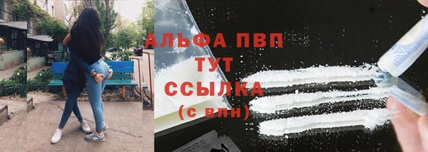 амф Вяземский
