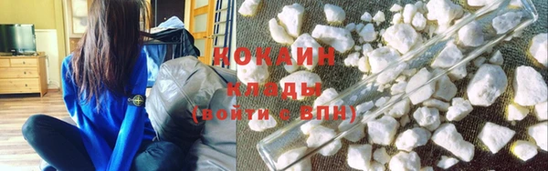 амф Вяземский
