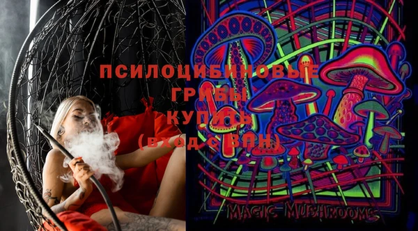 ПСИЛОЦИБИНОВЫЕ ГРИБЫ Вязьма