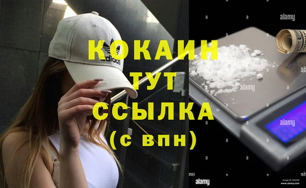 ПСИЛОЦИБИНОВЫЕ ГРИБЫ Вязьма