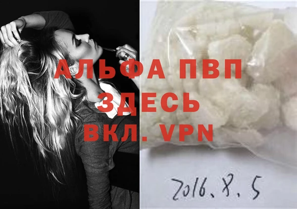 амф Вяземский