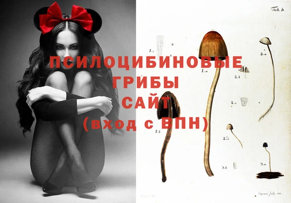 ПСИЛОЦИБИНОВЫЕ ГРИБЫ Вязьма