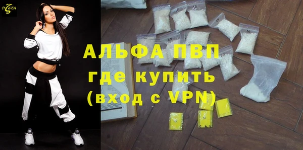 ПСИЛОЦИБИНОВЫЕ ГРИБЫ Вязьма