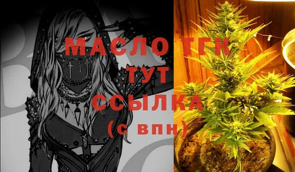 амф Вяземский