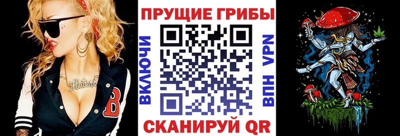 Галлюциногенные грибы мухоморы Медногорск