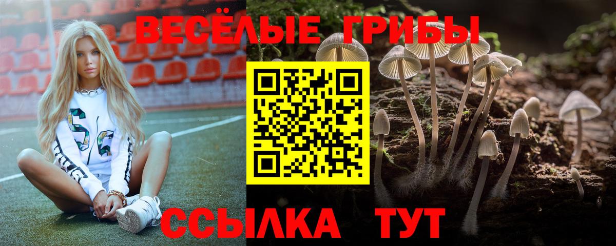 Псилоцибиновые грибы ЛСД  Вход с VPN  Псилоцибиновые грибы мицелий  Медногорск 