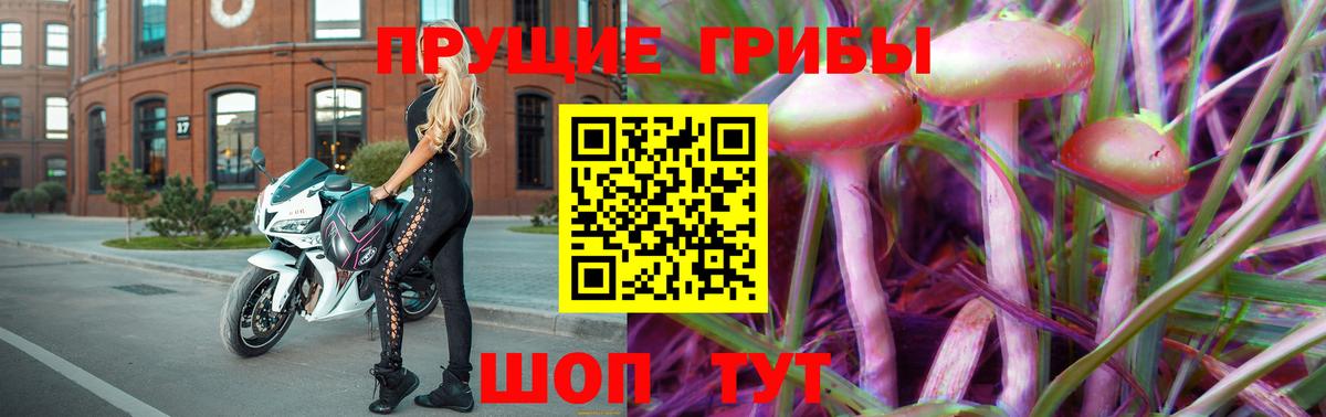 Галлюциногенные грибы прущие грибы Медногорск