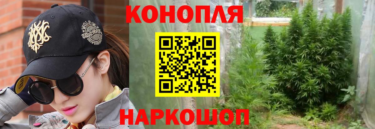 Бошки марихуана семена  Бошки марихуана THC 21%  Медногорск  Шишки марихуана SATIVA & INDICA  Вход с VPN 